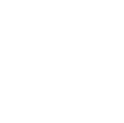 Escudo do Clube Náutico Capibaribe