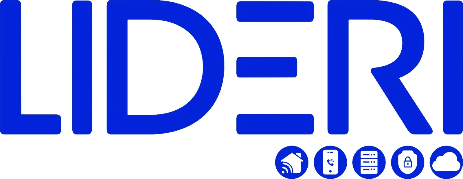 Logo Lideri